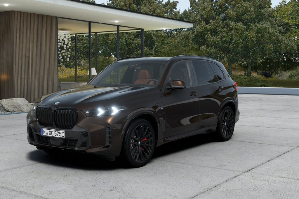 BMW X5 1