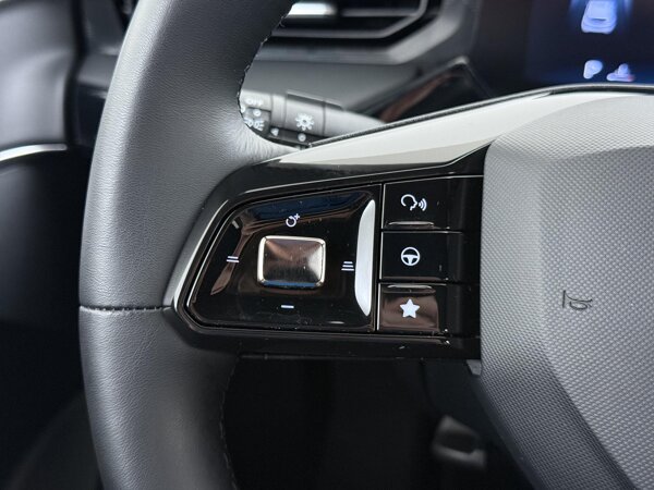 cruise control adaptief met Stop&Go en stuurhulp