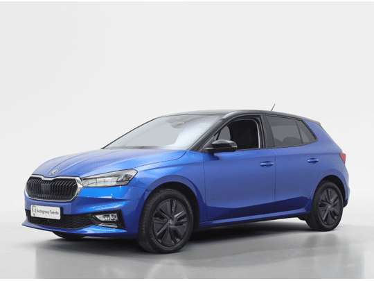 Škoda Fabia 1.0 TSI Business Edition | Private Lease 369,- p.m. |