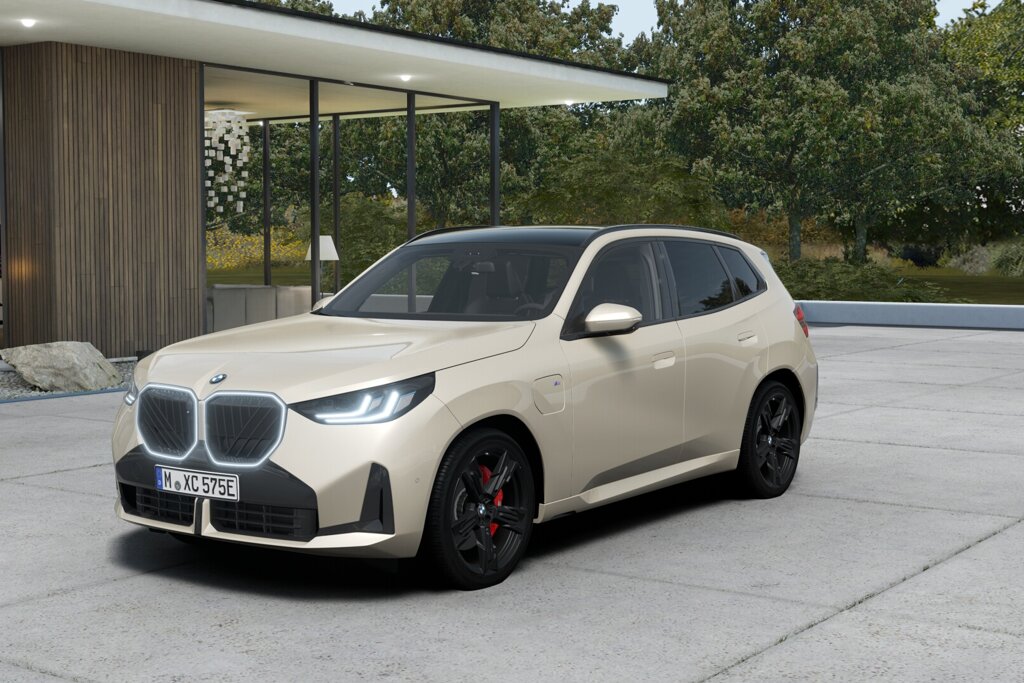 BMW X3 1
