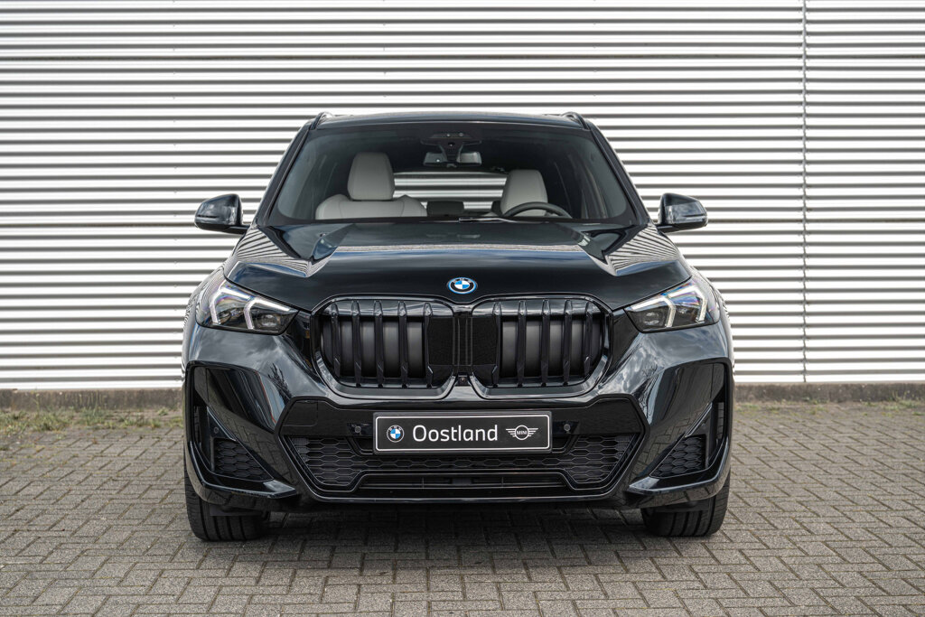 BMW X1 10