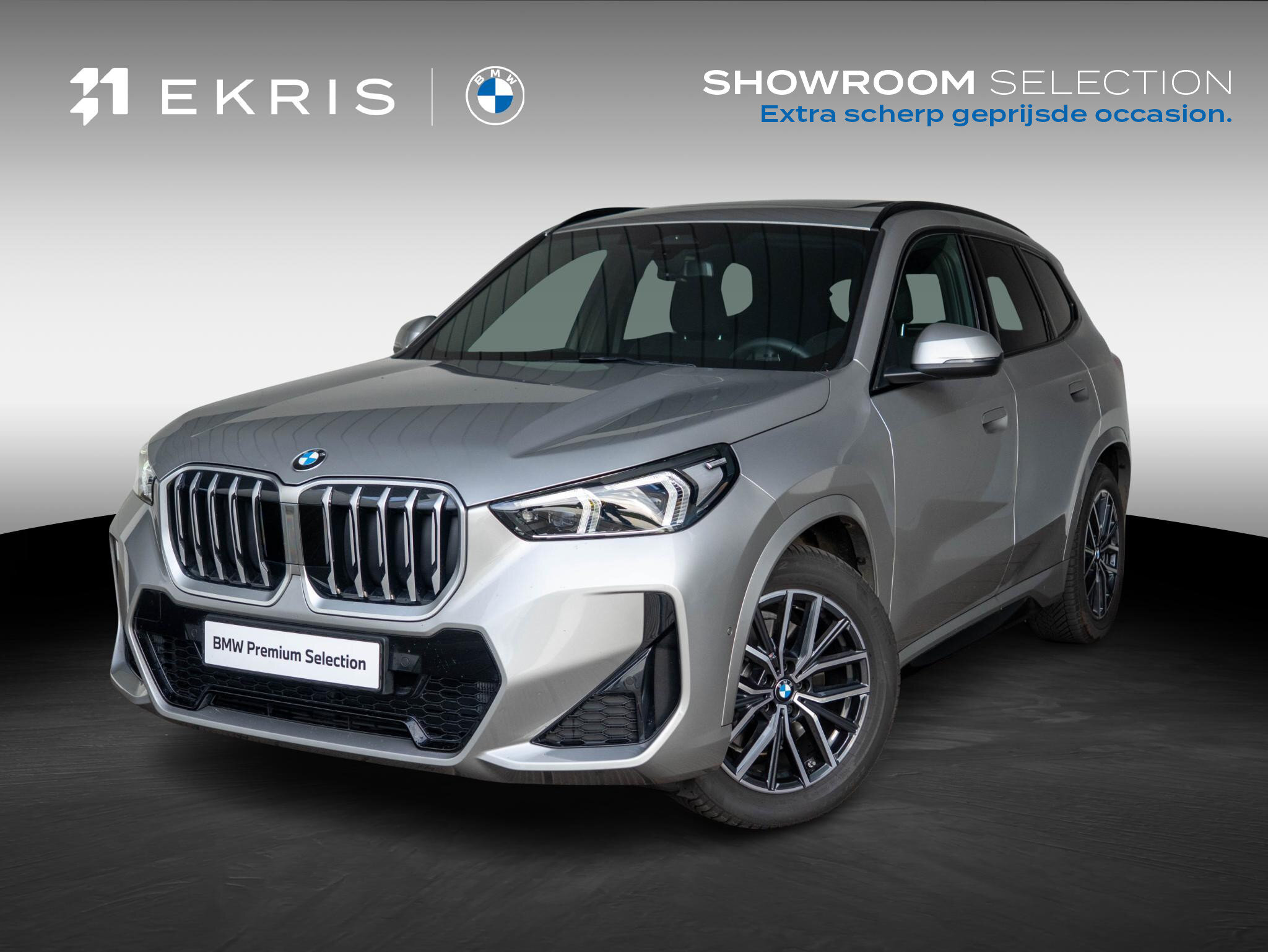 BMW X1 sDrive20i