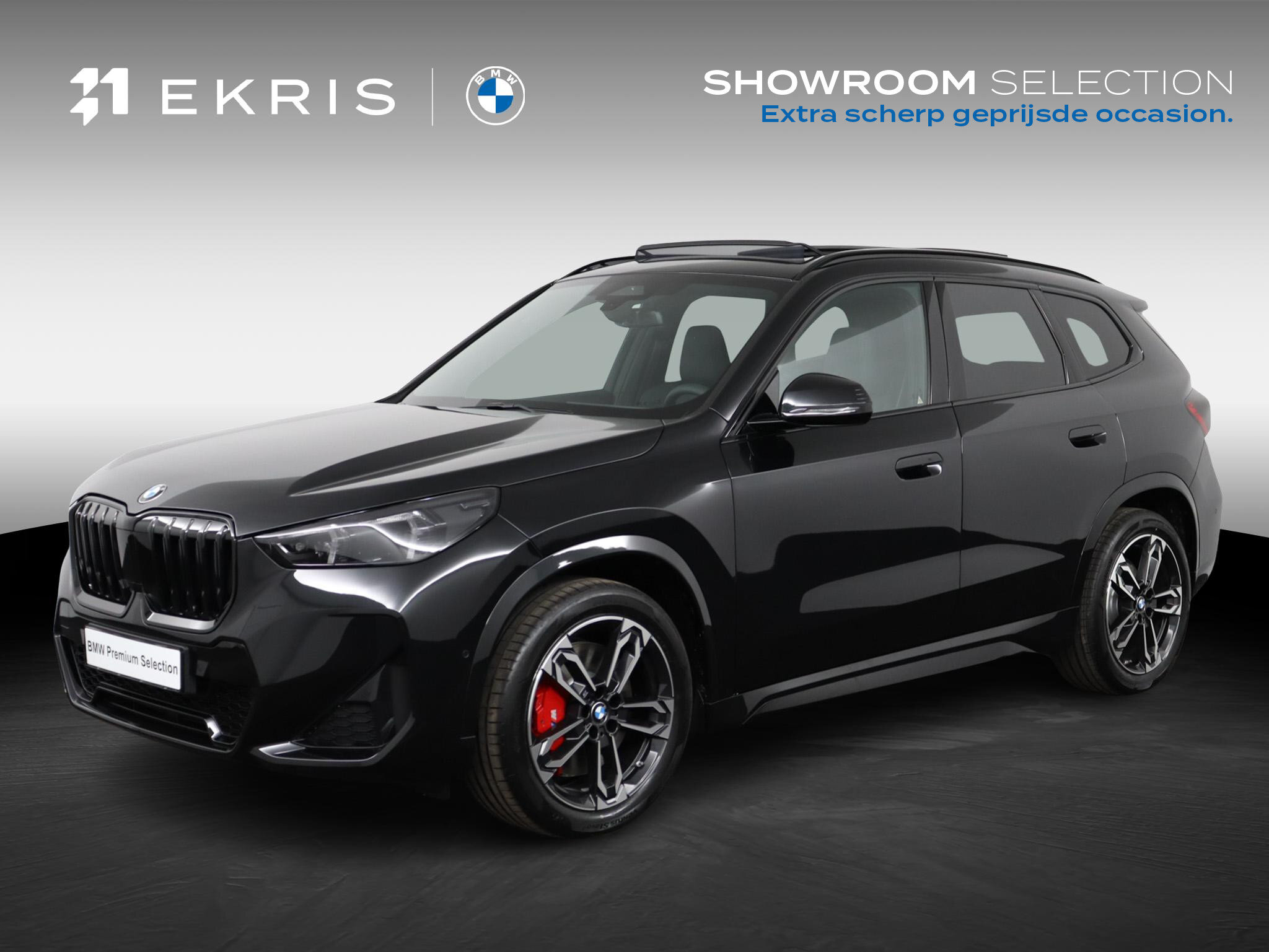 BMW X1 sDrive20i