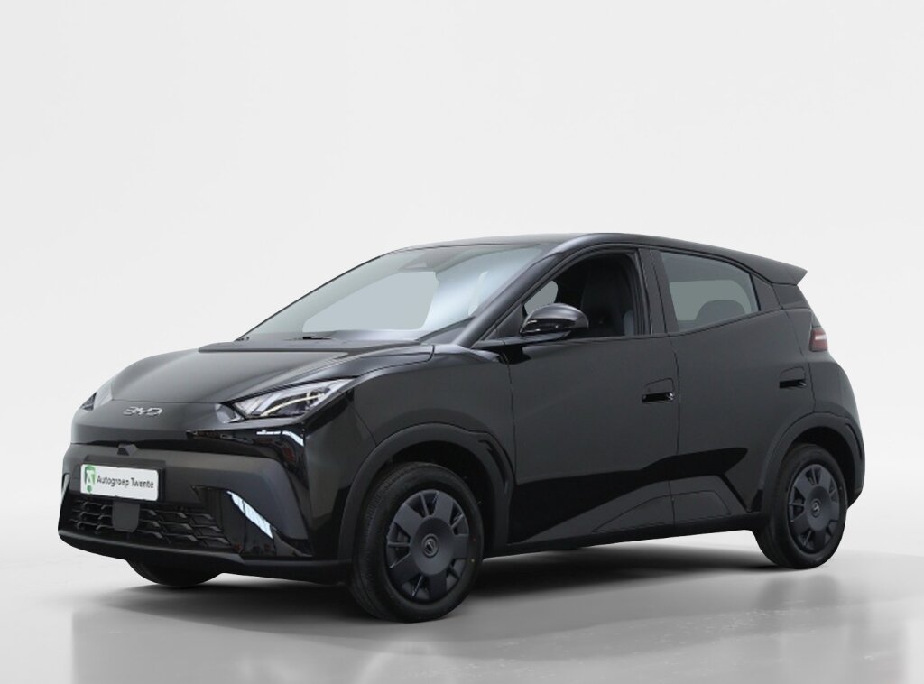 BYD DOLPHIN SURF Active 30 kWh | Private Lease 379,- p.m. |