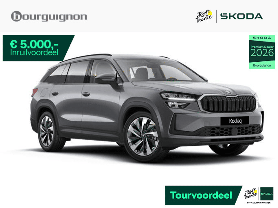 Škoda Kodiaq Business Edition Plus 1.5 TSI PHEV 204 PK - Afbeelding 1