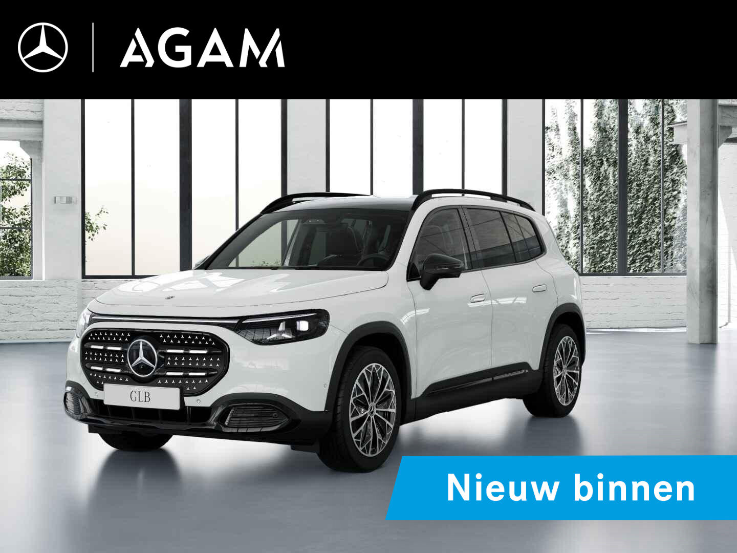 Mercedes-Benz GLB 250+ Business Solution Luxury 85.5 kWh