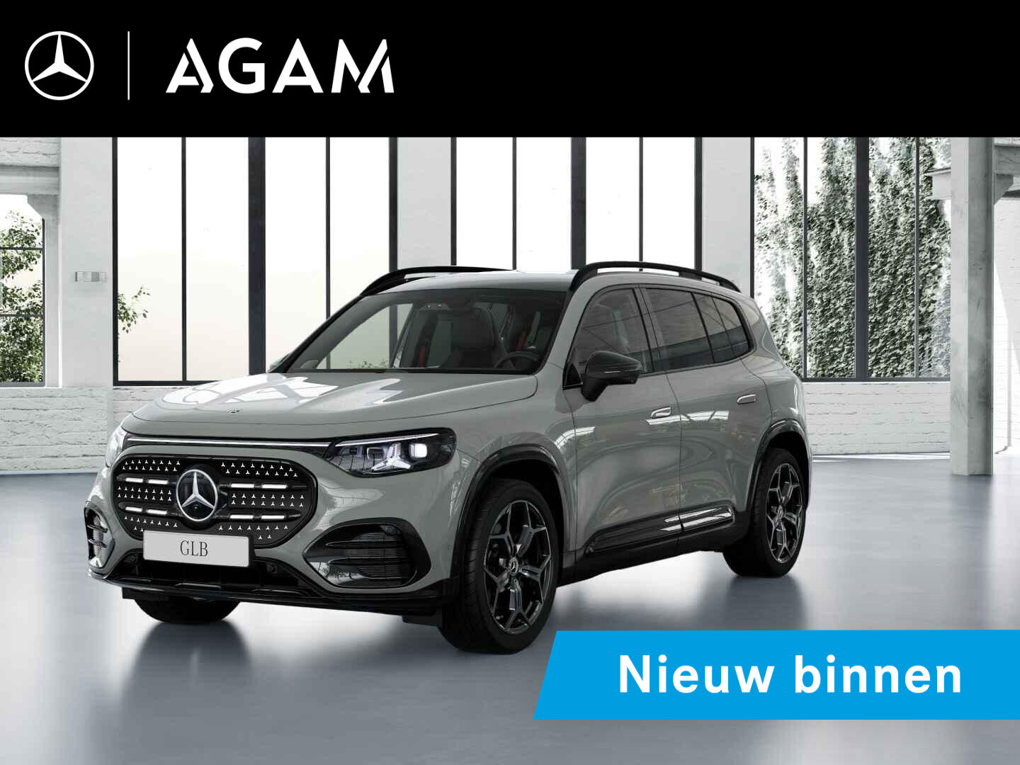 Mercedes-Benz GLB 250+ Business Solution AMG 85.5 kWh
