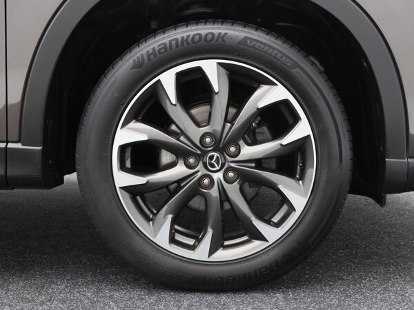 19 Inch Lichtmetalen velgen