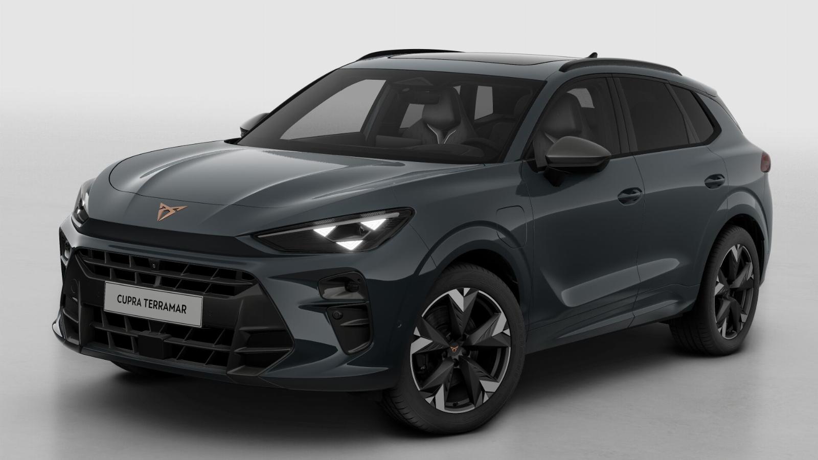 CUPRA Terramar Business - Afbeelding 2