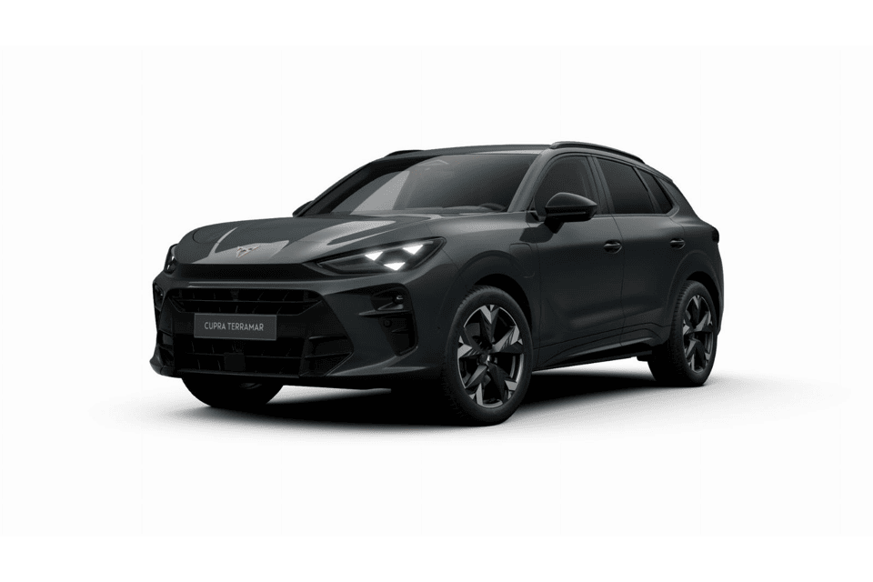 CUPRA Terramar Business - Afbeelding 1