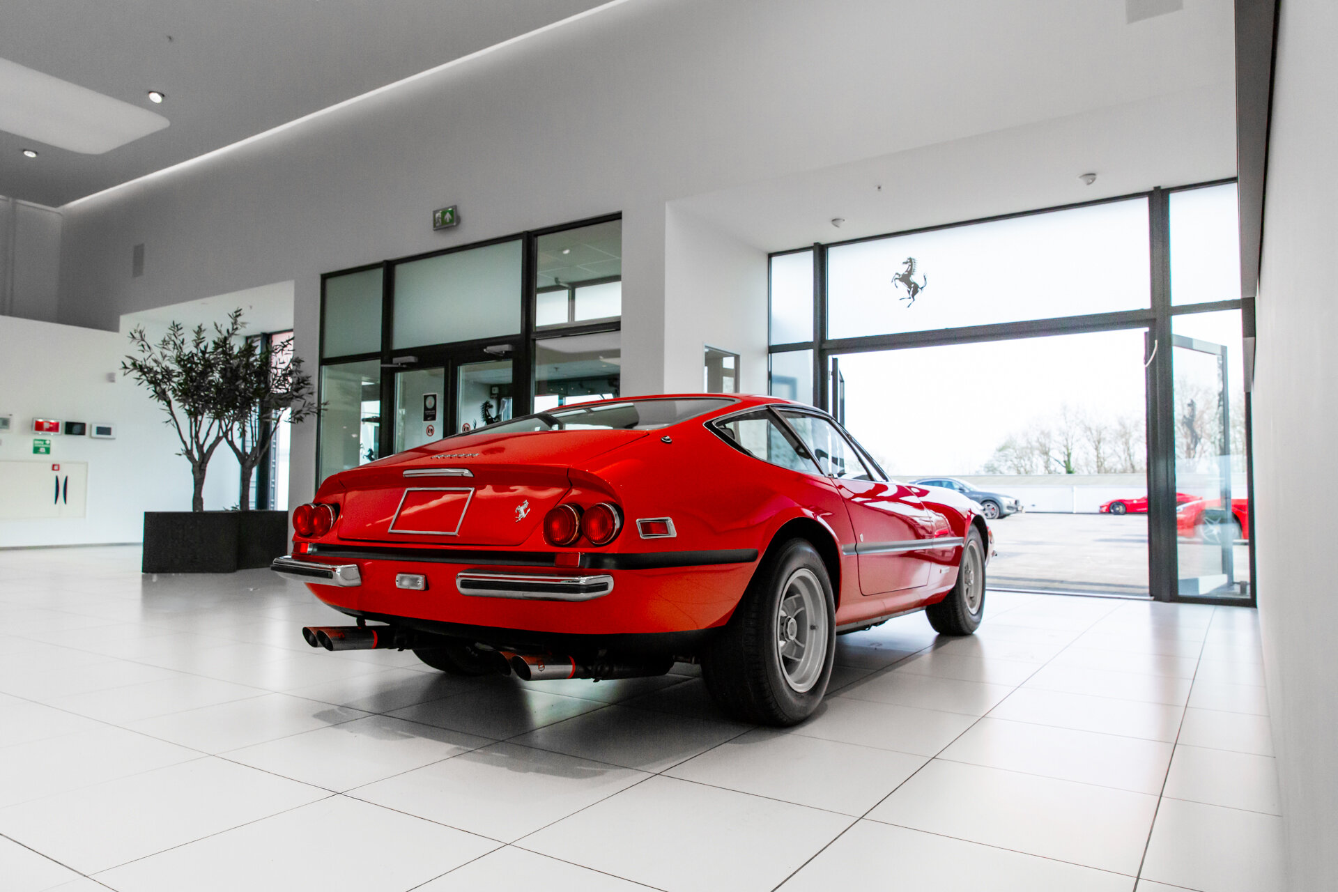 Ferrari 365 GTB Daytona ~Ferrari Munsterhuis~ - Afbeelding 4