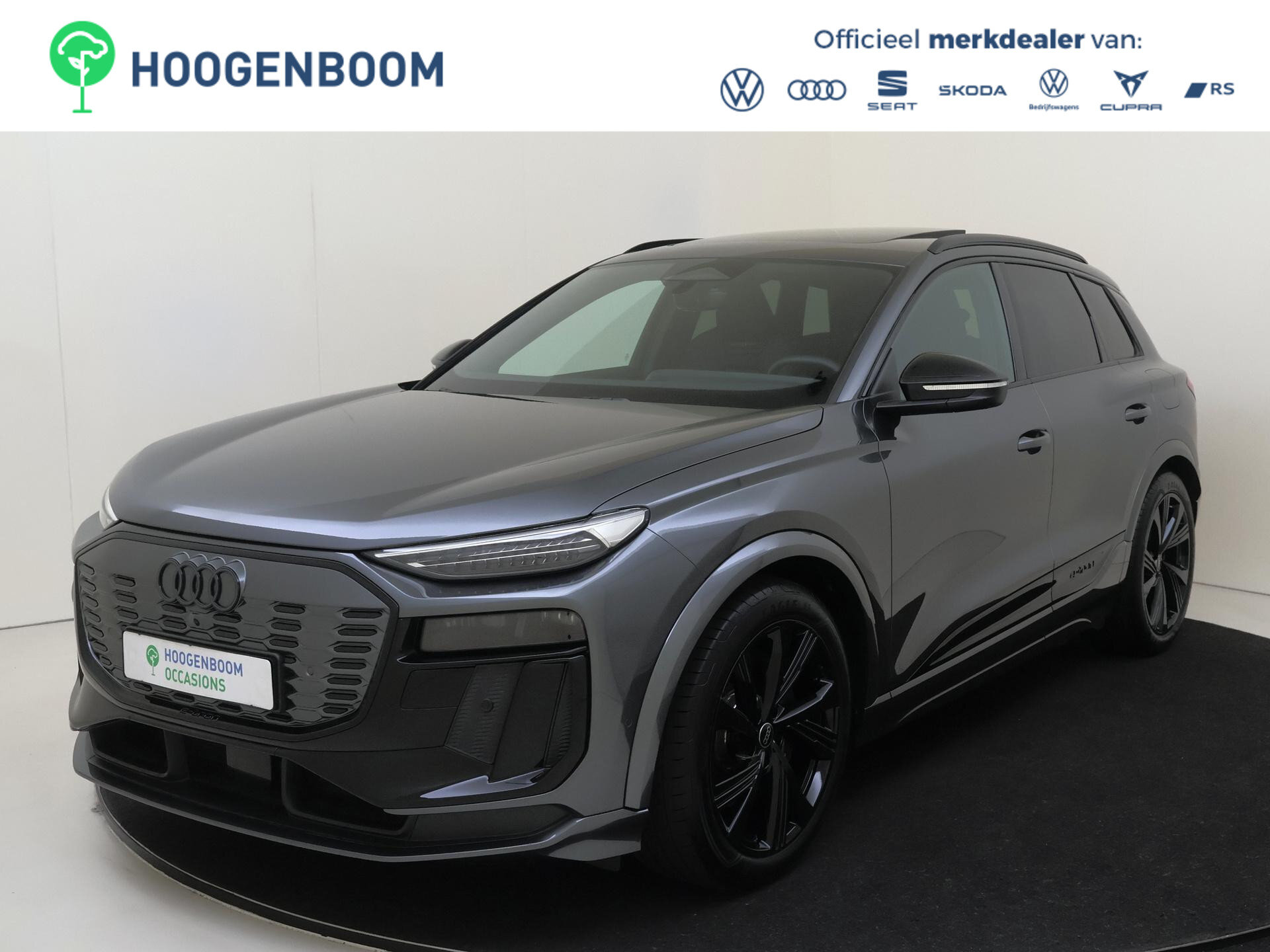 Audi SQ6 e-tron SQ6 quattro 100 kWh