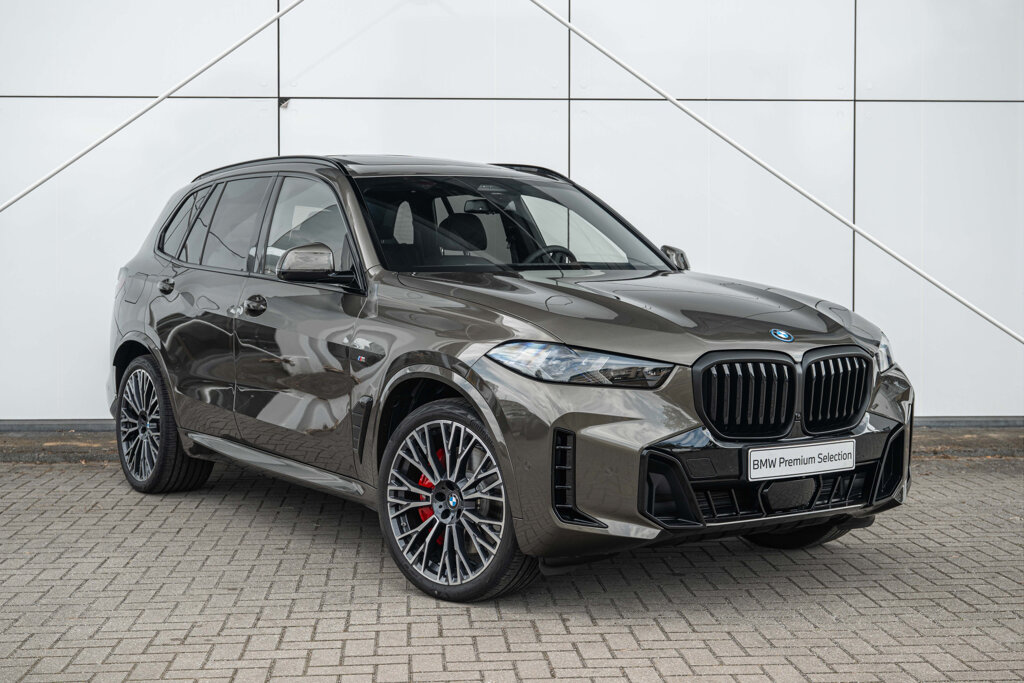 BMW X5 13