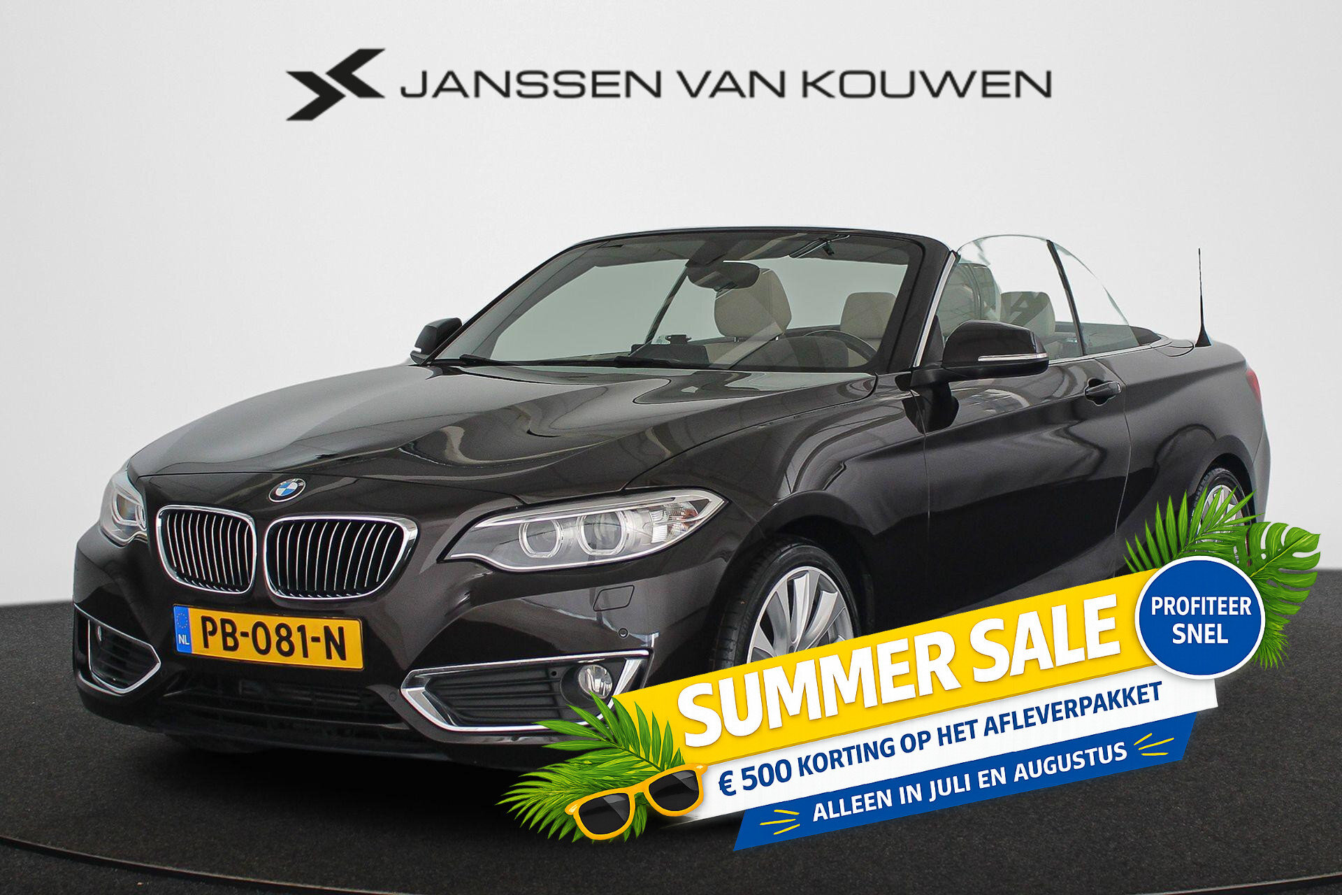 BMW 2 Serie Cabrio 218i High Executive