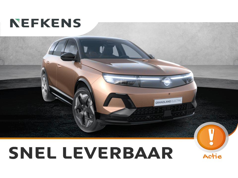Opel Grandland AWD Ultimate - Electric - Afbeelding 1