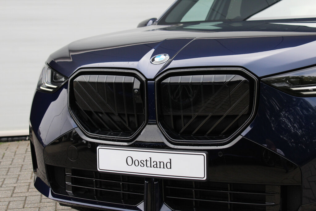 BMW X3 9