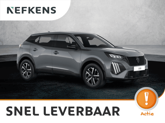 Peugeot 2008 Business