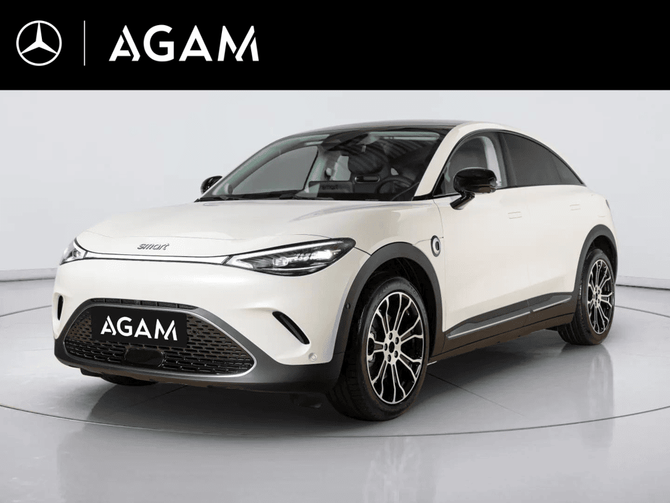 smart #3 Premium 66 kWh - Afbeelding 1