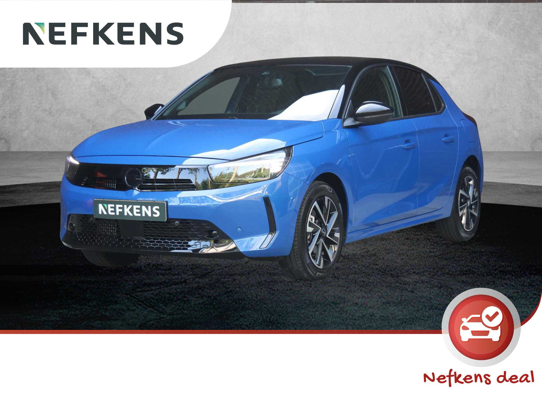 garage-doorn-onderhoud-apk-occasions-nefkens