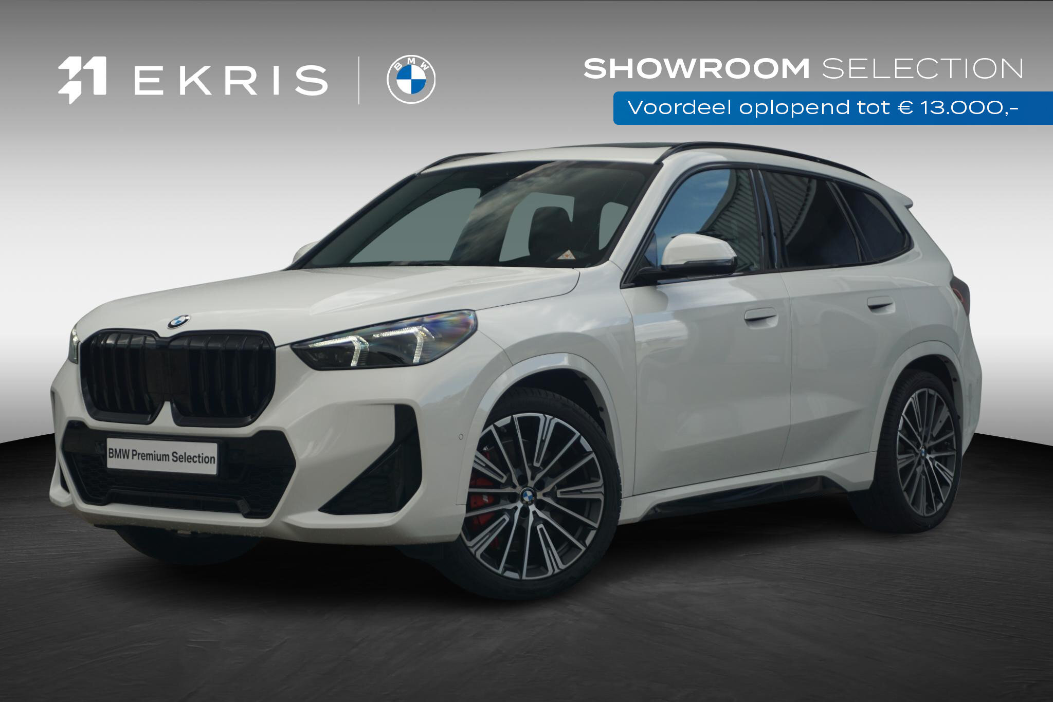 BMW X1 sDrive20i
