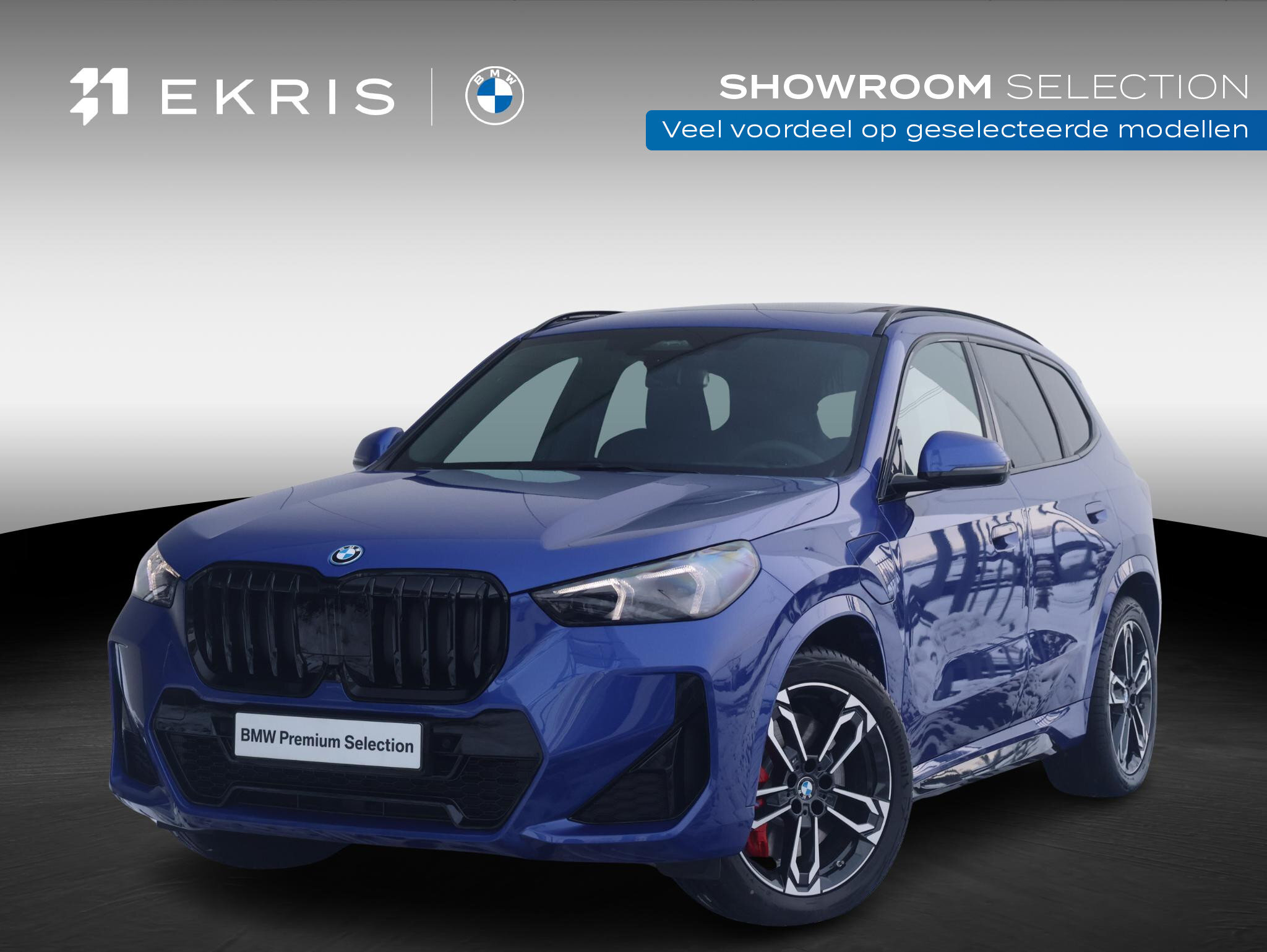 BMW X1 xDrive25e