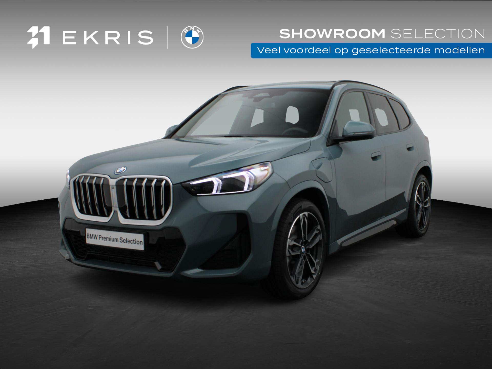 BMW X1 xDrive25e
