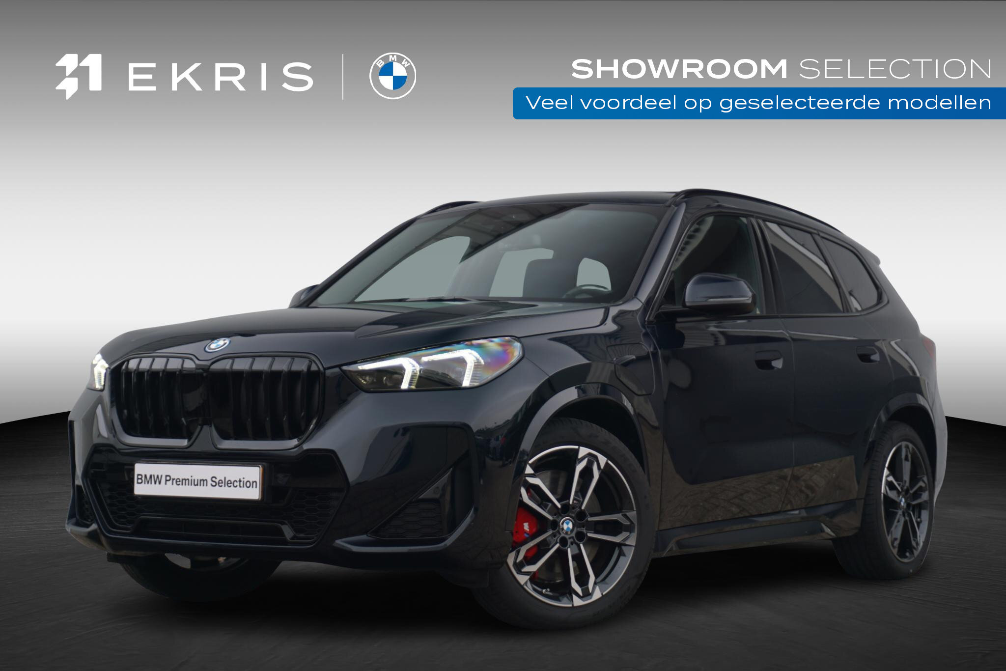BMW X1 xDrive25e