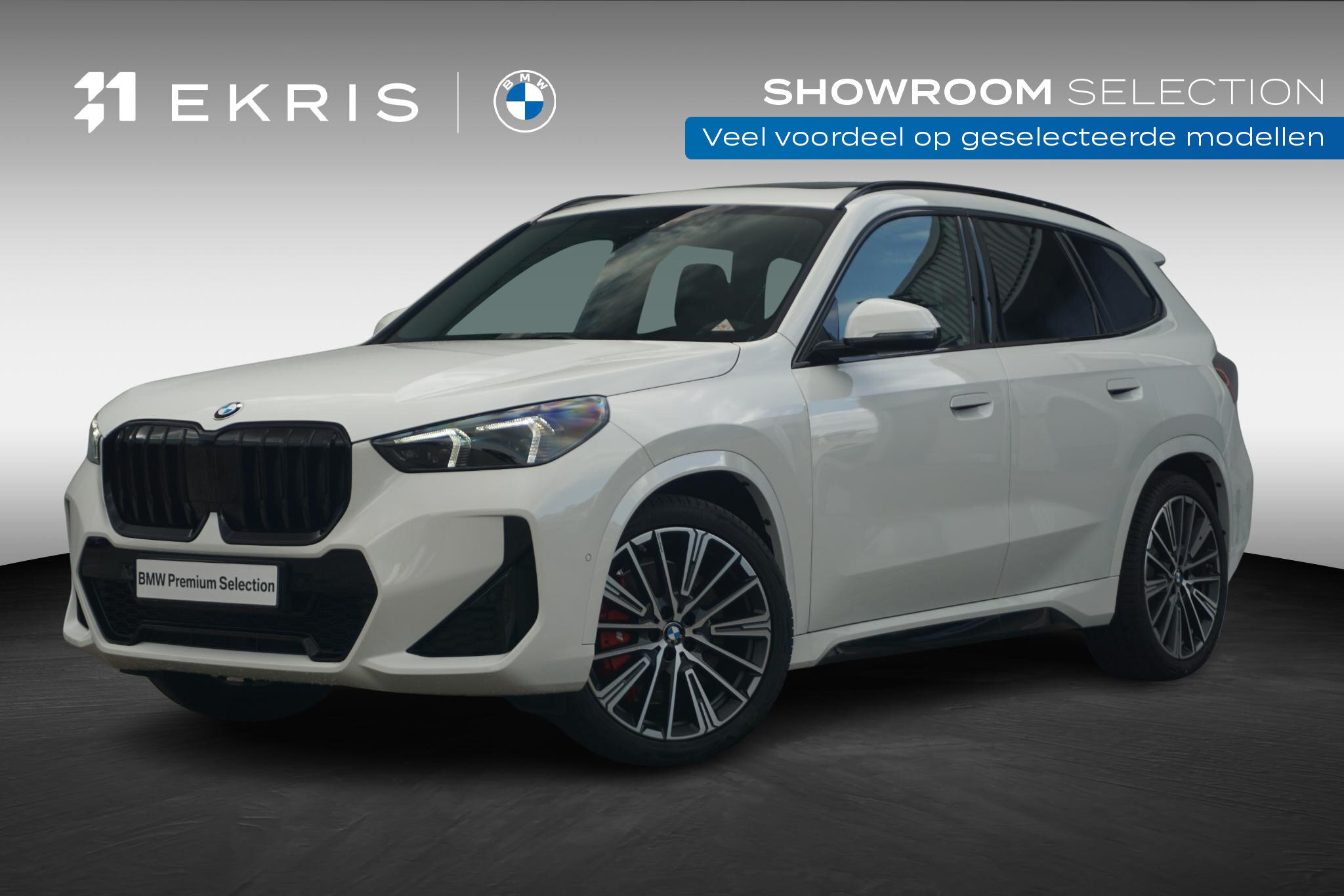 BMW X1 sDrive20i