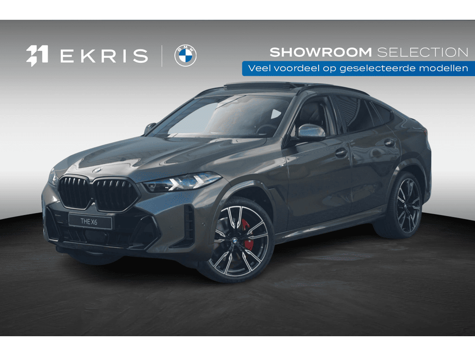 BMW X6 xDrive40i - Afbeelding 1