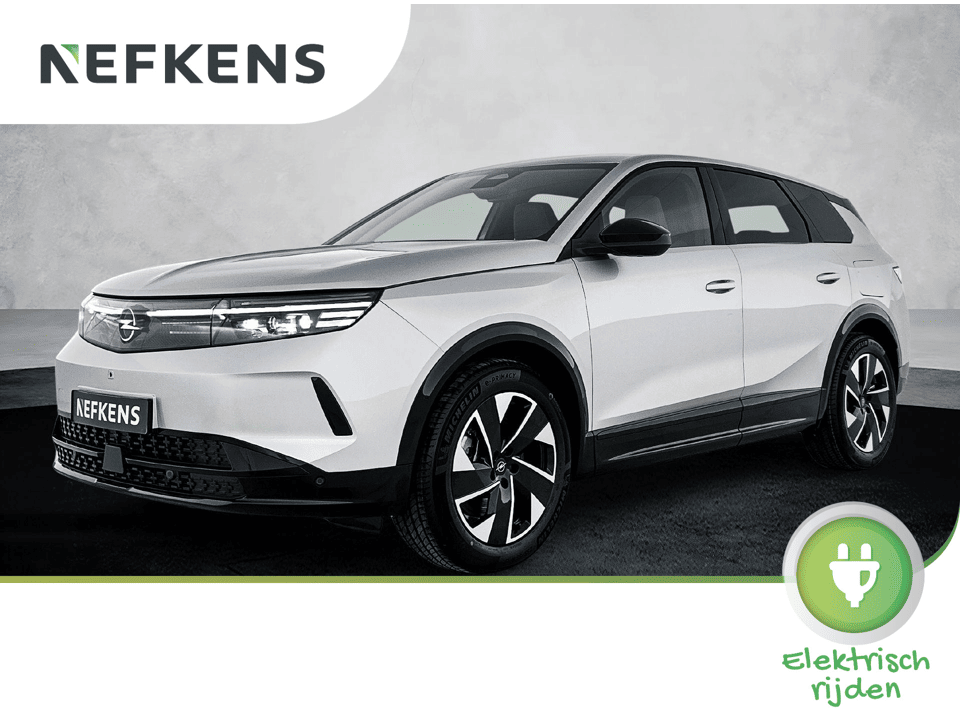 Opel Grandland Electric Business Edition 73 kWh 213pk Automaat - Afbeelding 1