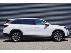 Škoda Kodiaq 1.5 TSI 204pk PHEV Business Edition Plus - Afbeelding 3