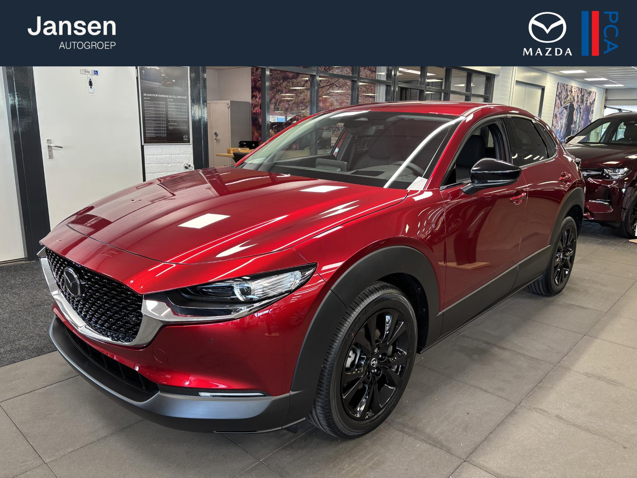 Mazda CX-30 2.5 e-SkyActiv-G 140 M Hybrid Homura