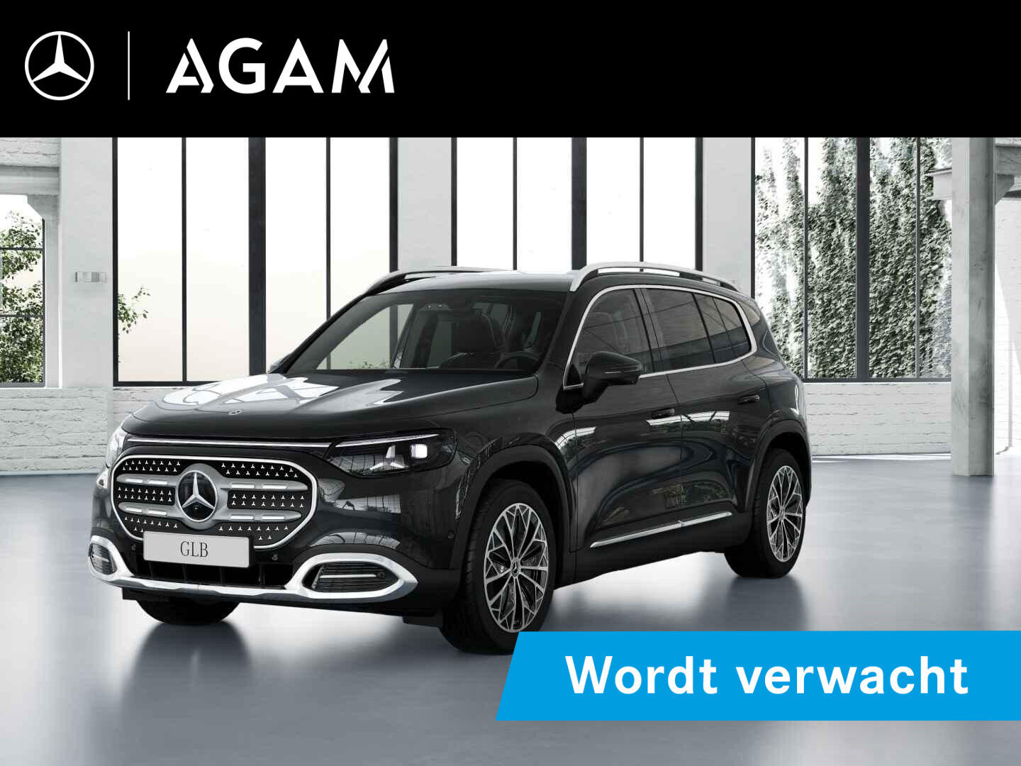 Mercedes-Benz GLB electric 250+ Business Solution 85.5 kWh