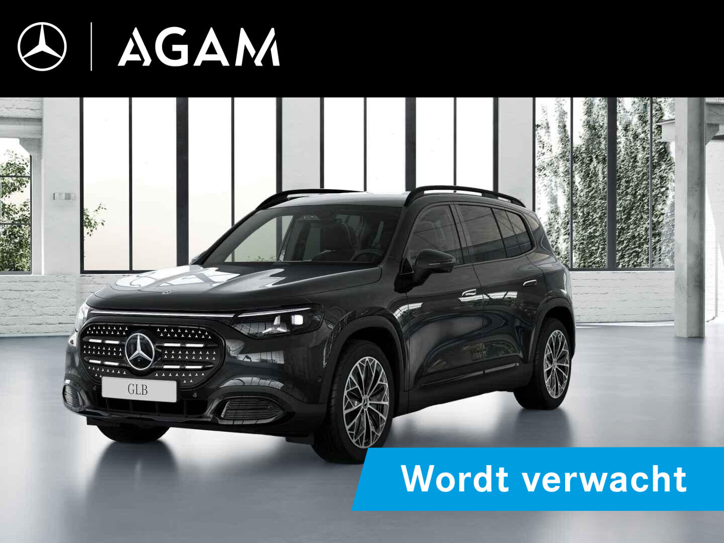 Mercedes-Benz GLB electric 250+ Business Solution Luxury 85.5 kWh