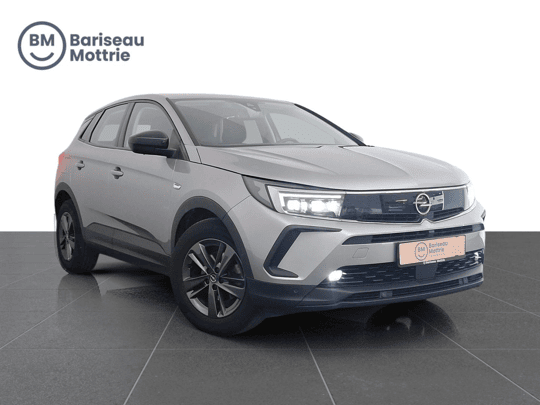 Opel Grandland X CAMERA EN SENSOREN*CARPLAY*DAB*GPS*KLIMAATREGELING*