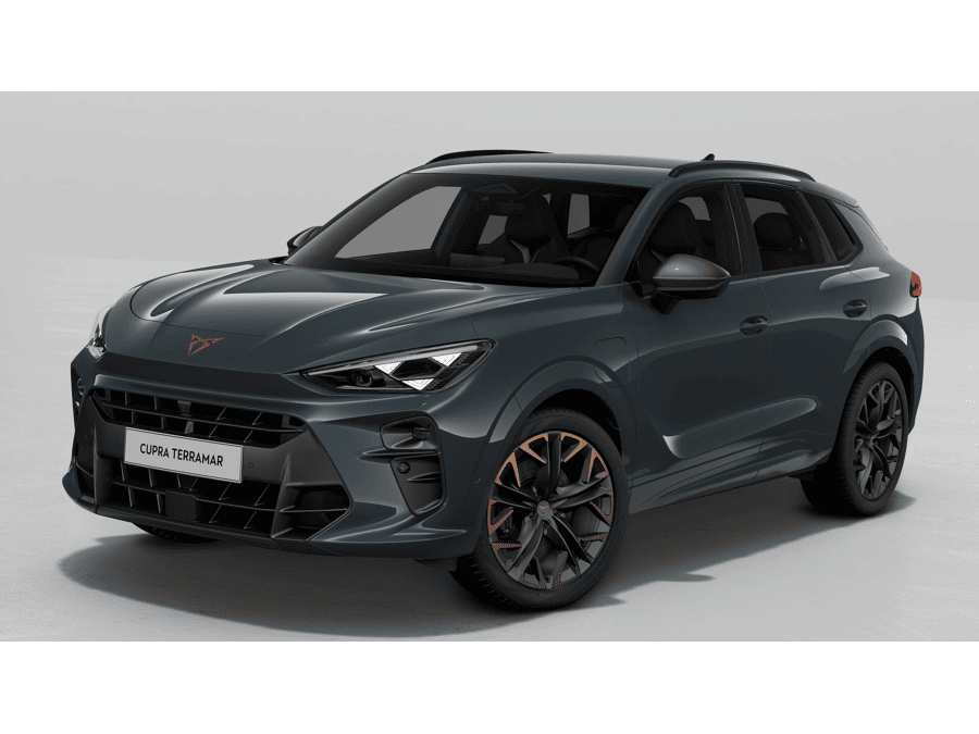 CUPRA Terramar Business - Afbeelding 1