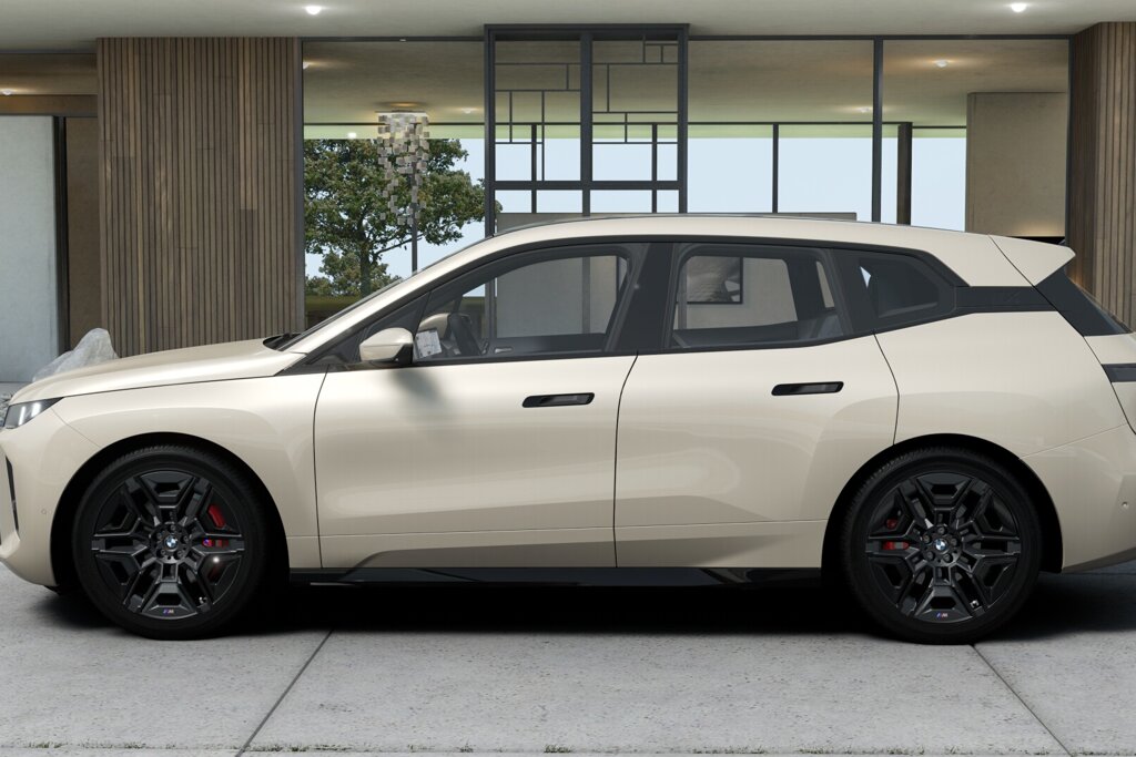 BMW iX 5