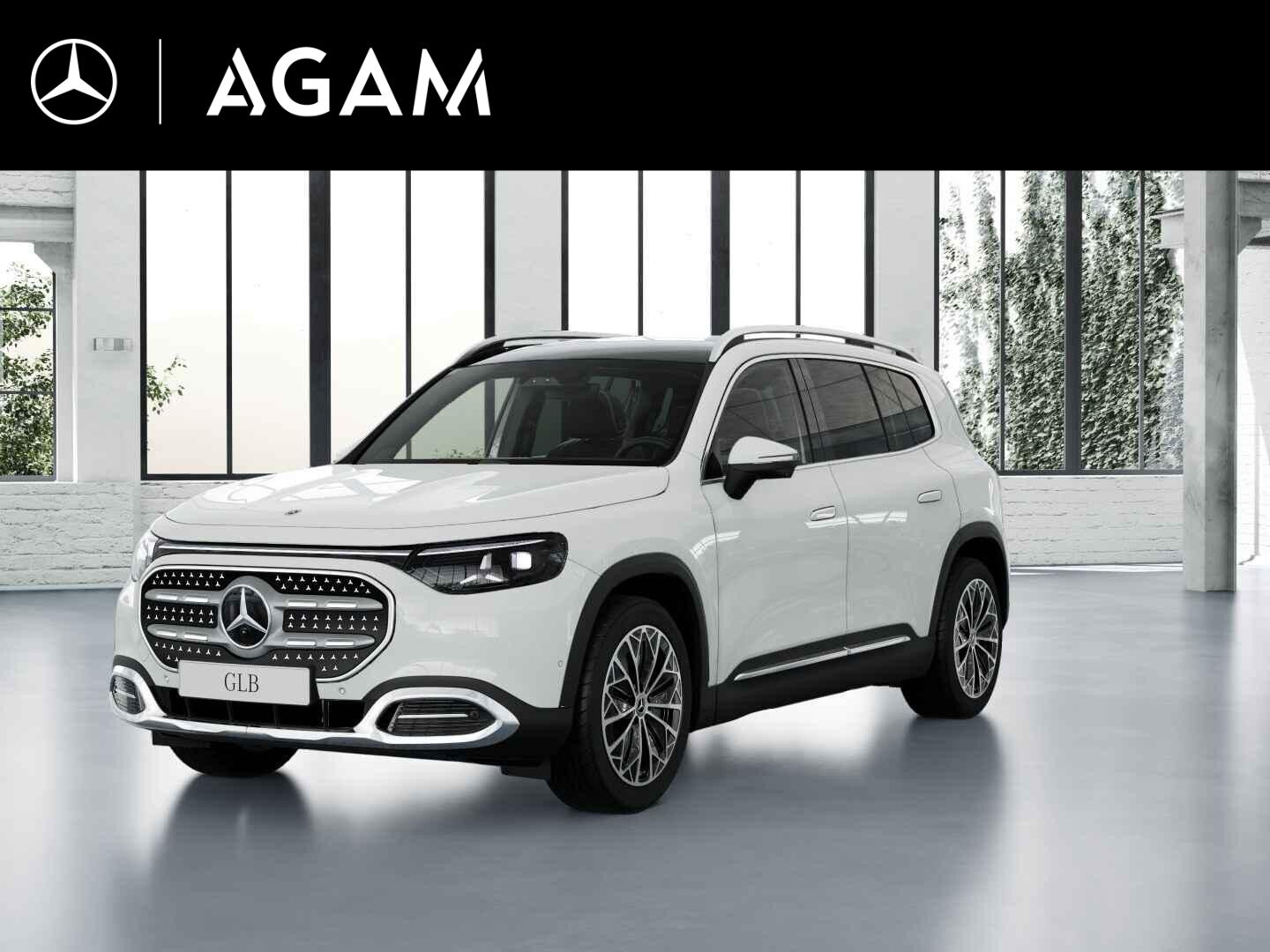 Mercedes-Benz GLB electric 250+ Business Solution 85.5 kWh