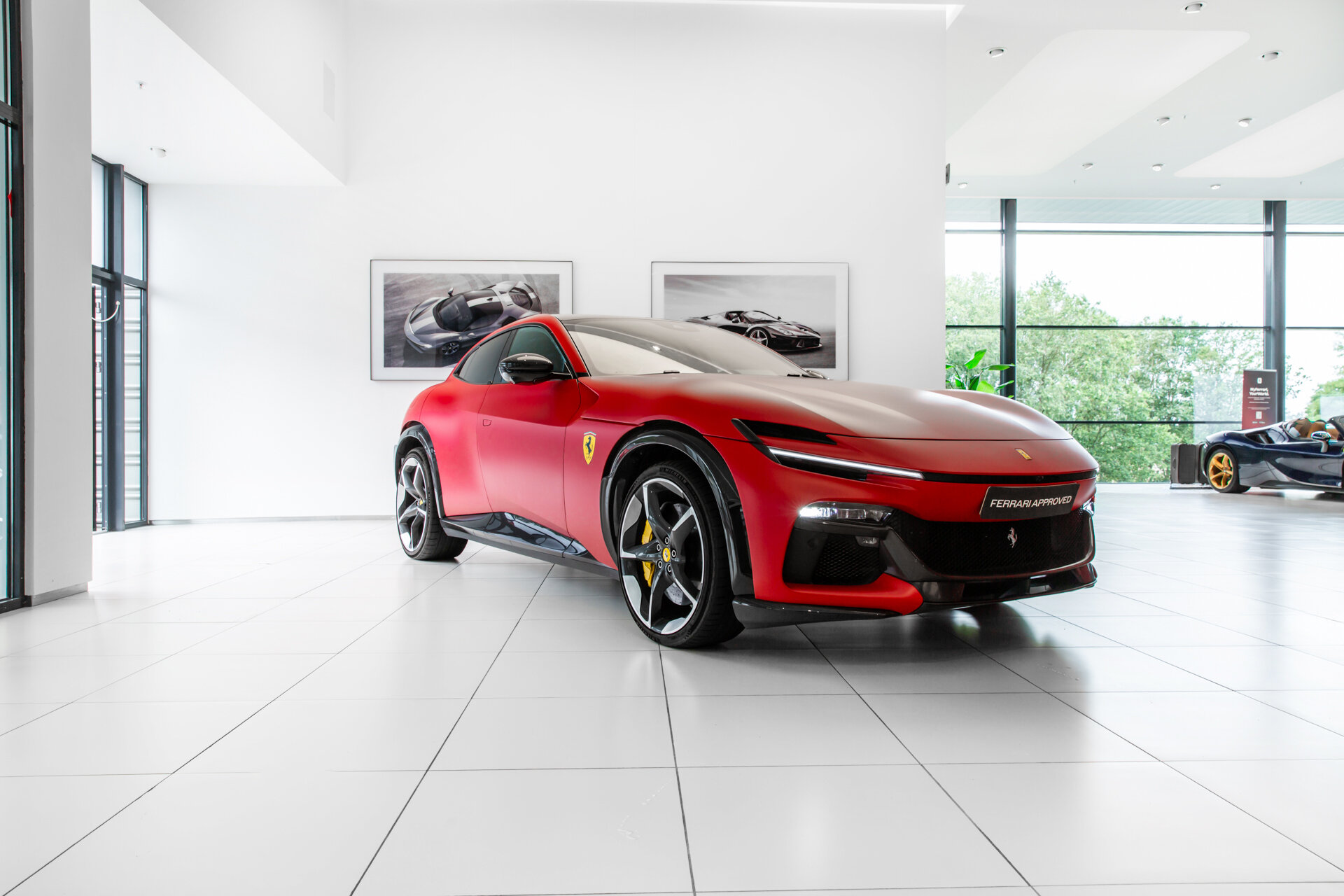 Ferrari Purosangue ~Ferrari Munsterhuis~