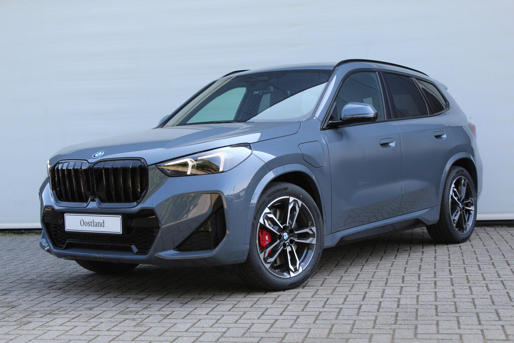 BMW X1 1