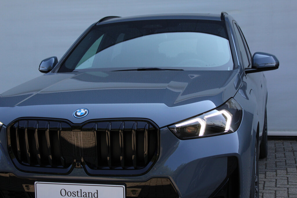 BMW X1 9