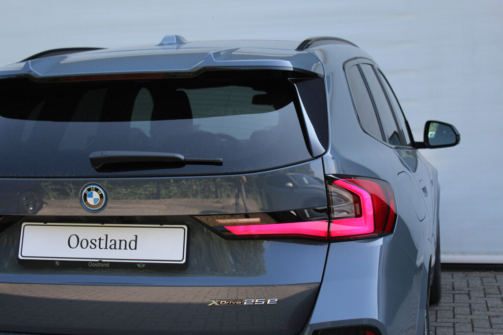 BMW X1 10