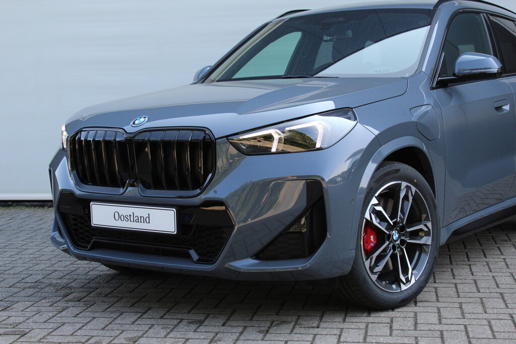 BMW X1 19