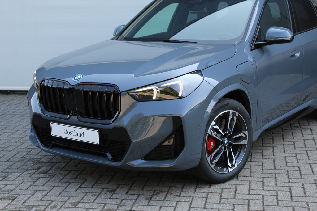 BMW X1 24