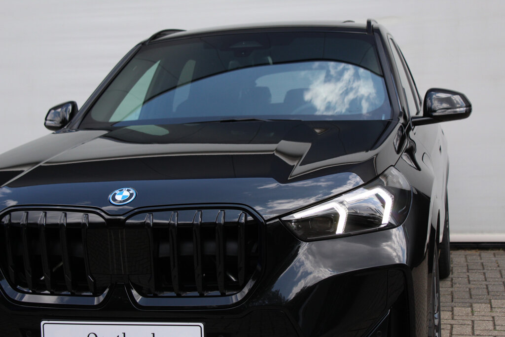 BMW X1 9