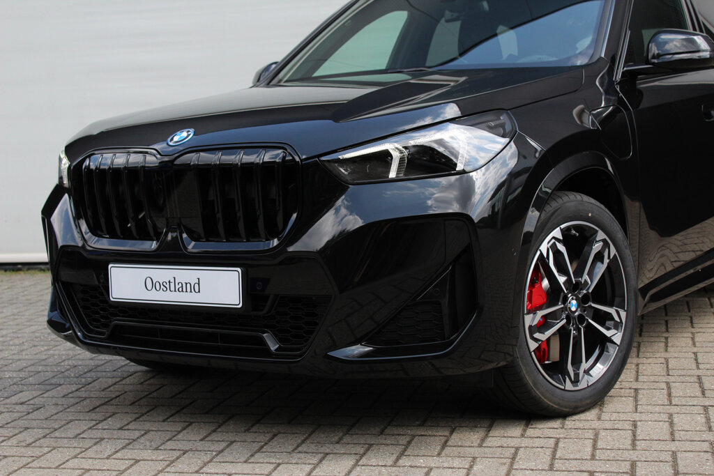 BMW X1 19