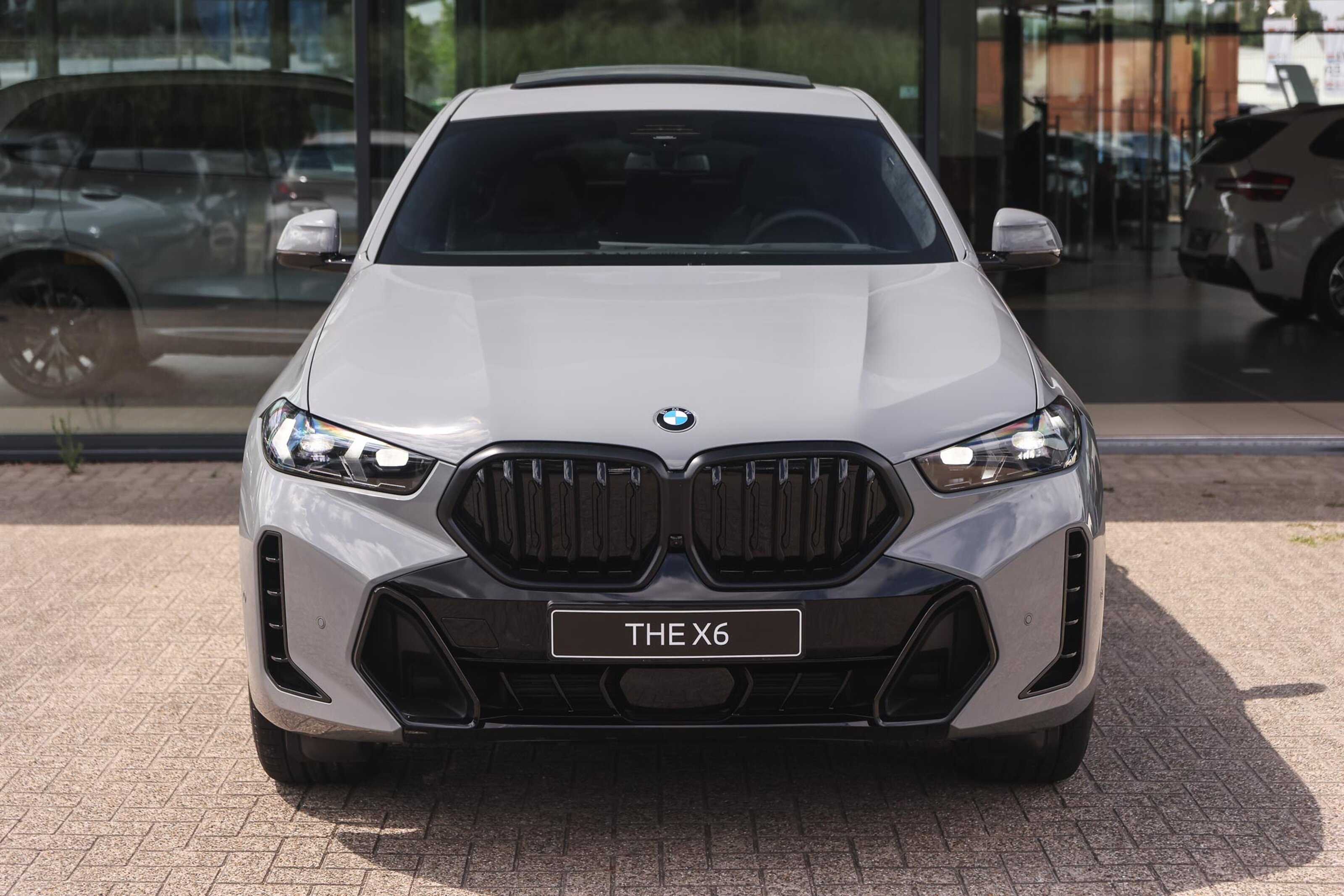 BMW X6 6