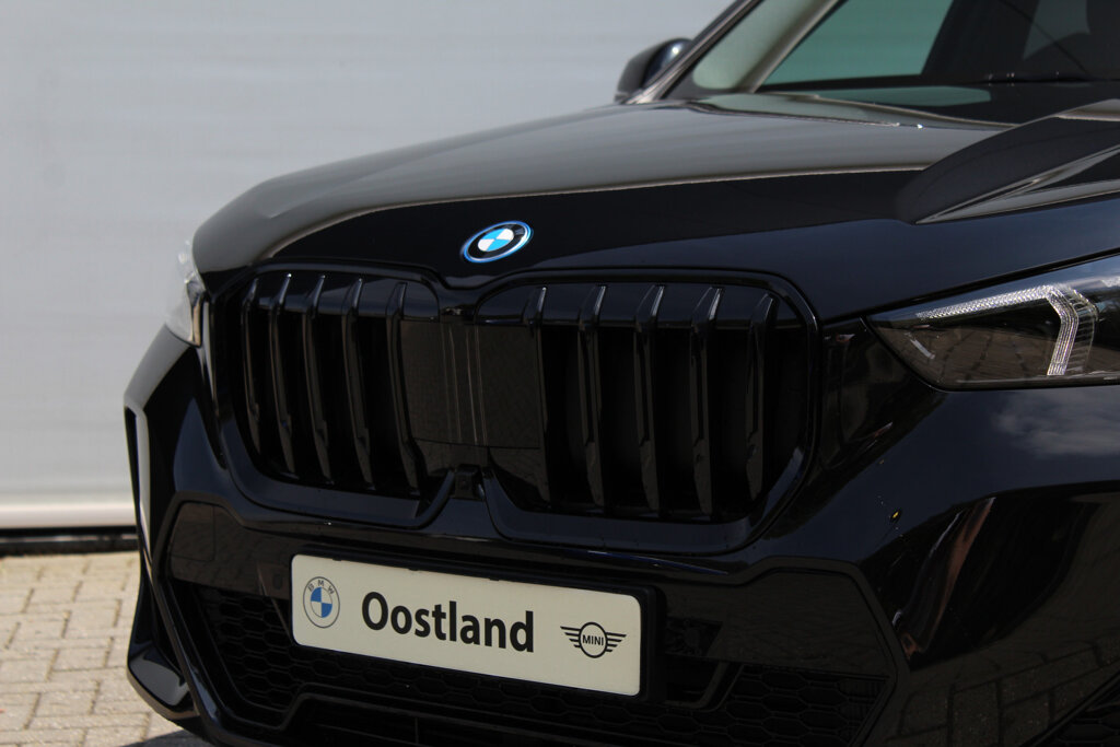 BMW X1 10