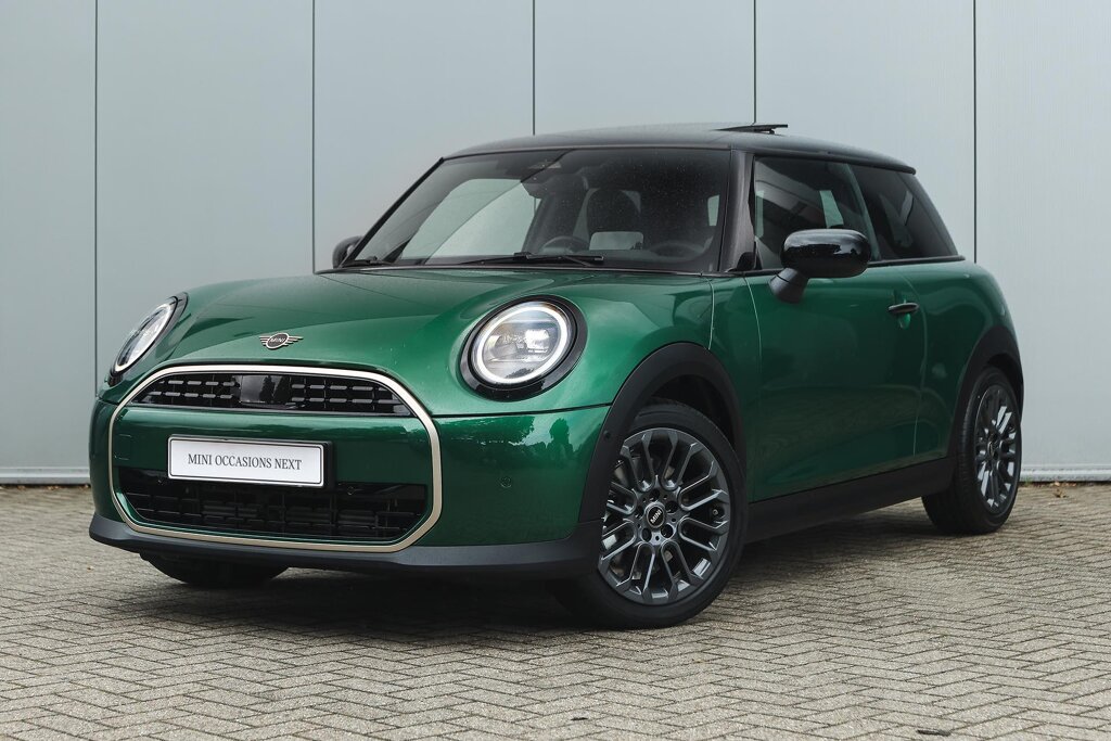 MINI 3-Deurs 1