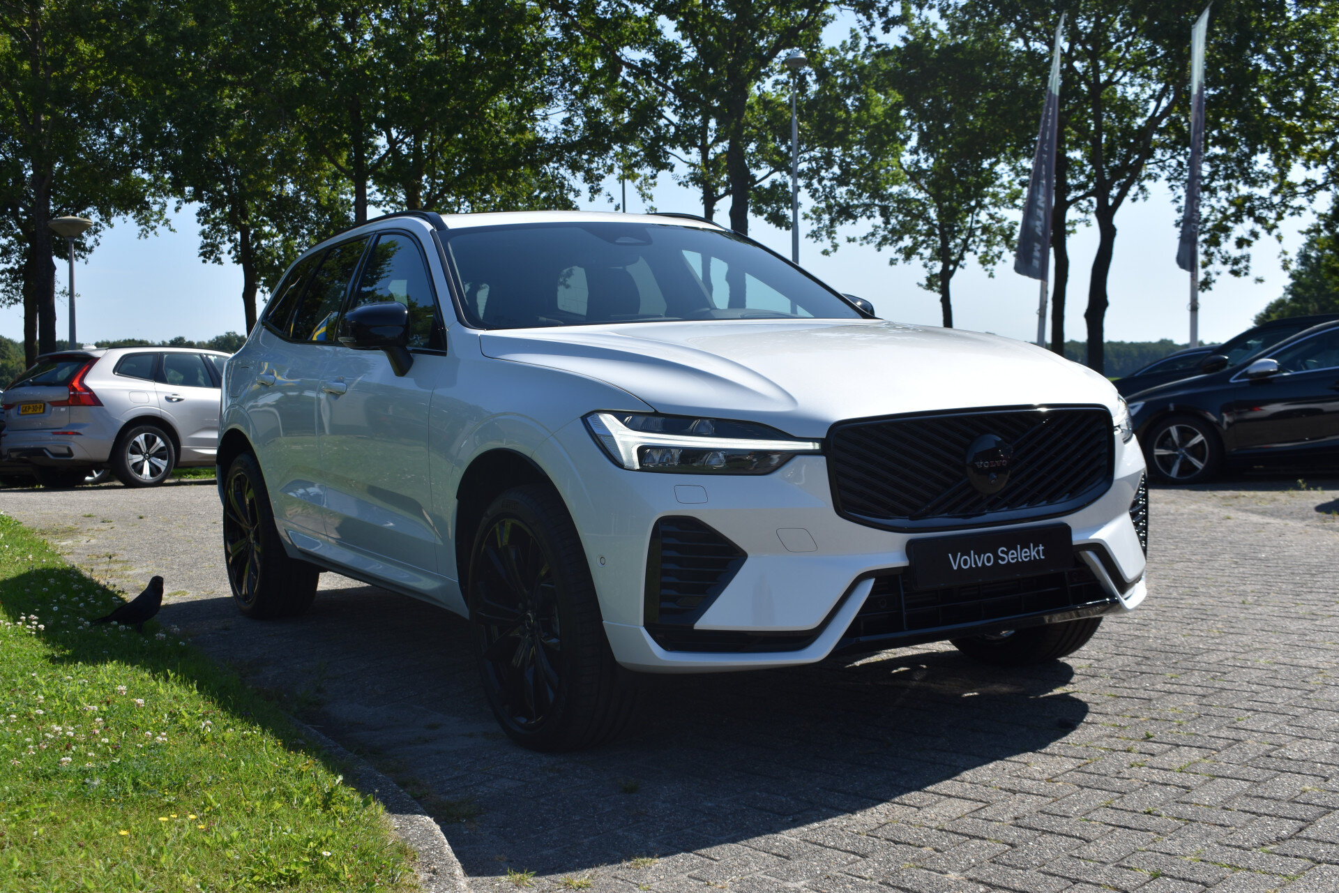 Volvo XC60 T8 AWD 455PK Plug-in Hybrid Ultra Black Edition - Afbeelding 2